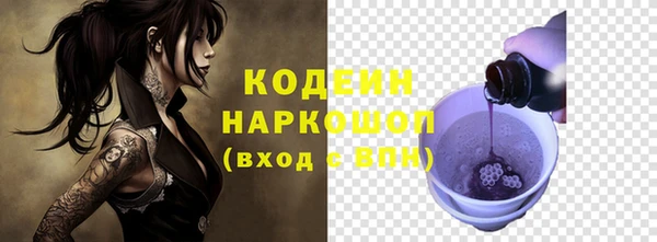 ГАЛЛЮЦИНОГЕННЫЕ ГРИБЫ Вяземский