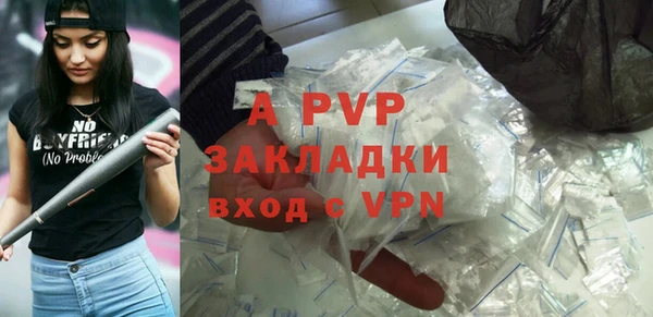ГАЛЛЮЦИНОГЕННЫЕ ГРИБЫ Вяземский