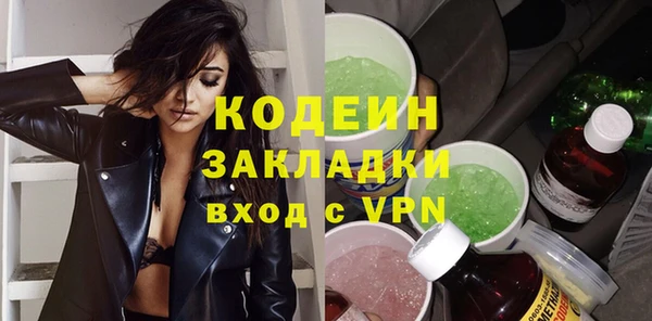 ГАЛЛЮЦИНОГЕННЫЕ ГРИБЫ Вяземский