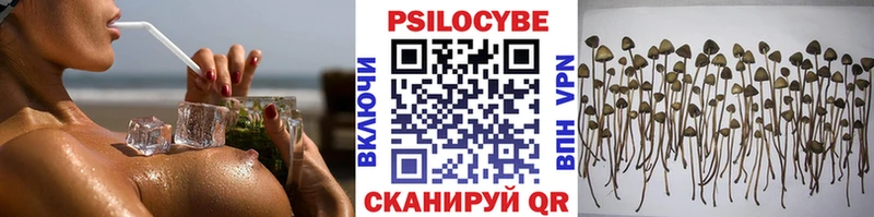 Псилоцибиновые грибы прущие грибы  OMG зеркало  Калтан  как найти наркотики 