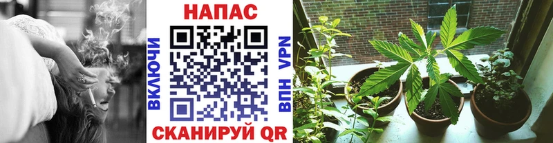 Конопля тримм  Калтан 